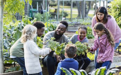 Senate Democratic Majority Passes Transformational State Budget to Improve Equity and Spur Innovation 