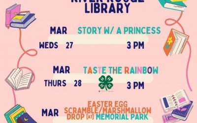 District 1 Community Updates & Resources