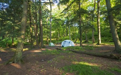 Cancer-Free Camping: Irwin Bill To Keep Harmful Chemicals Off Tents Passes Senate Chambers Unanimously 