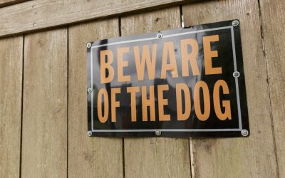 Sen. McCann Reintroduces Legislation to Protect People from Dangerous Dogs
