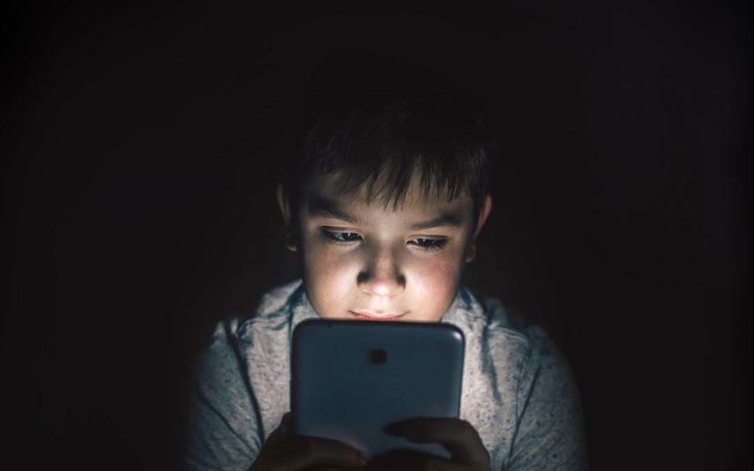 Senate Democrats Call for Improved Safety Measures to Better Protect Michigan Kids from Digital Dangers