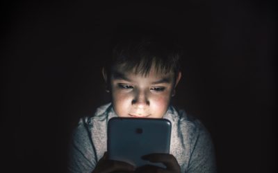 Senate Democrats Call for Improved Safety Measures to Better Protect Michigan Kids from Digital Dangers