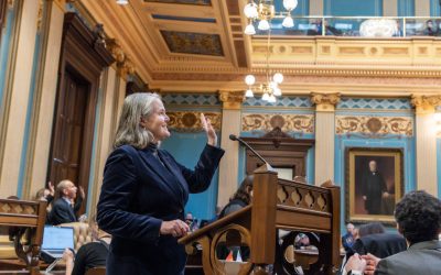 Sens. Shink, Irwin Promote Better Use of Energy Resources with Virtual Power Plants