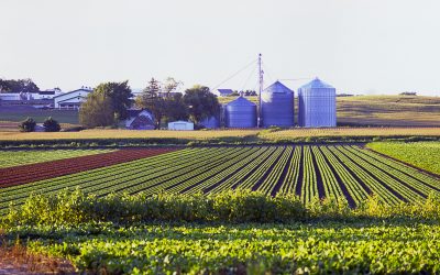 Senate Committee Explores How Trump Tariffs Decimate Michigan’s Agricultural Industry