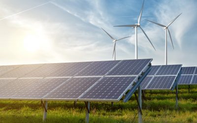 Senate Democrats Commemorate World Environment Day, Highlight Historic Climate Progress in Michigan 